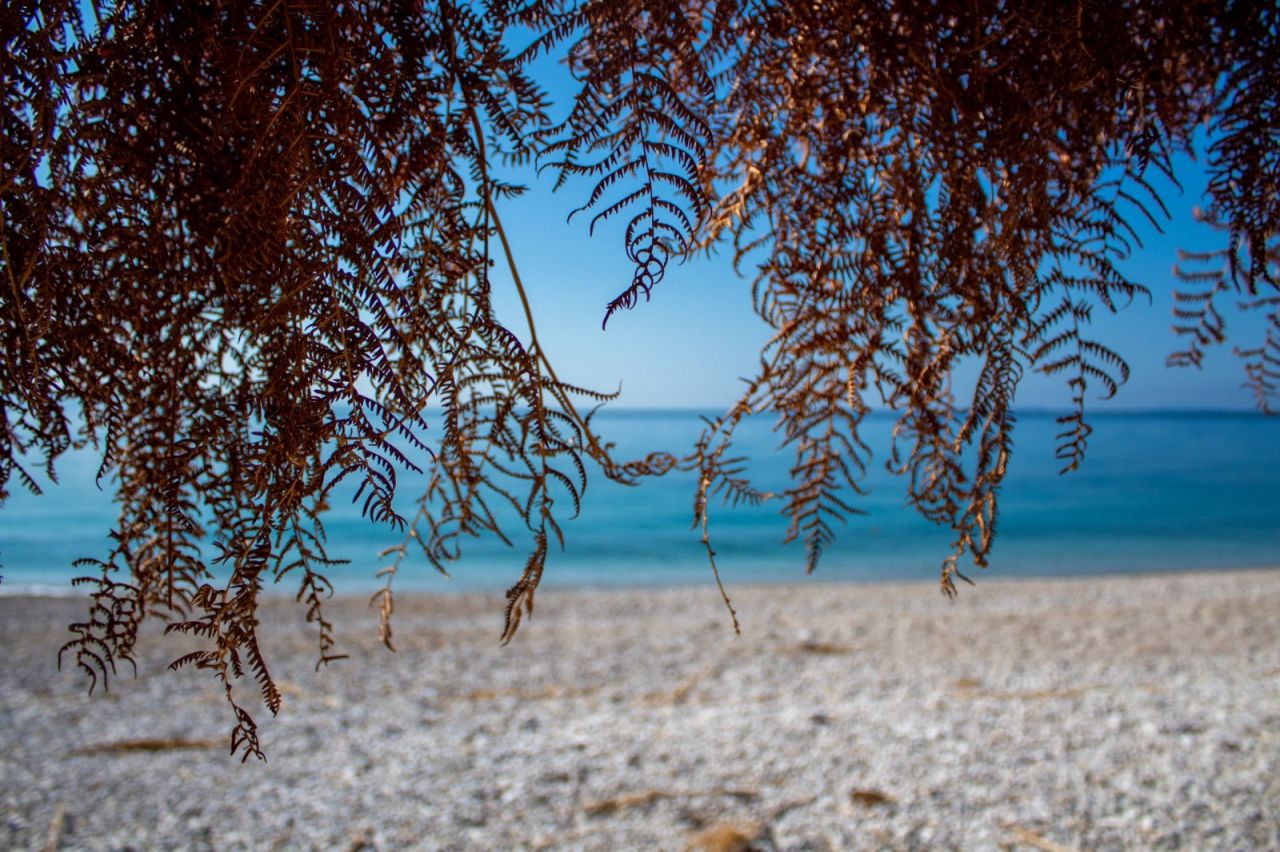 Property For Sale In Qeparo Vlore, South Of Albania